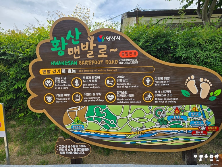 아이황토 이미지