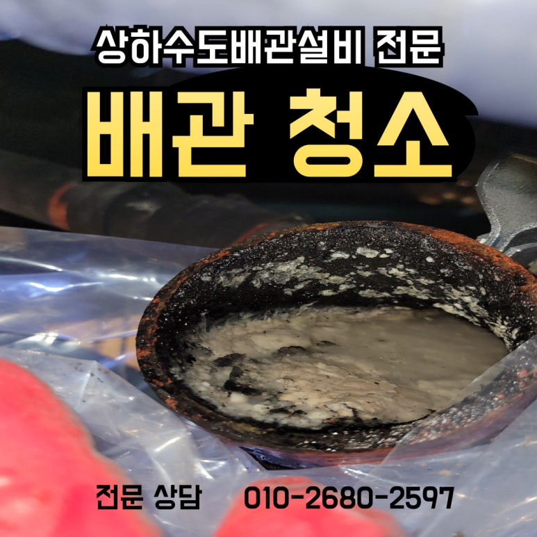 미화부장 이미지