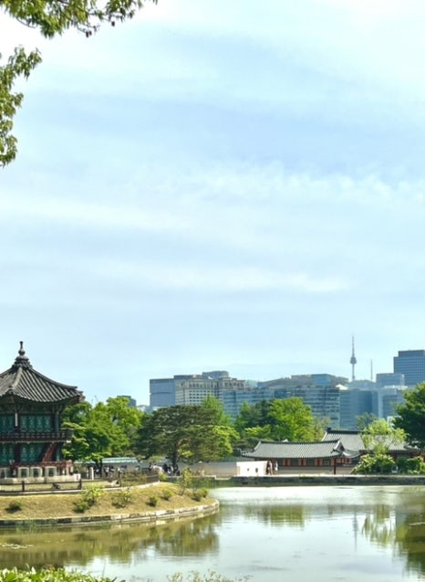 둥지짬뽕 이미지