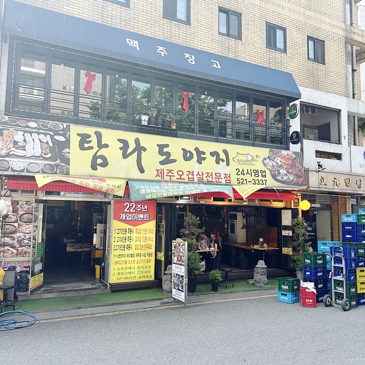 탐라도야지 이미지