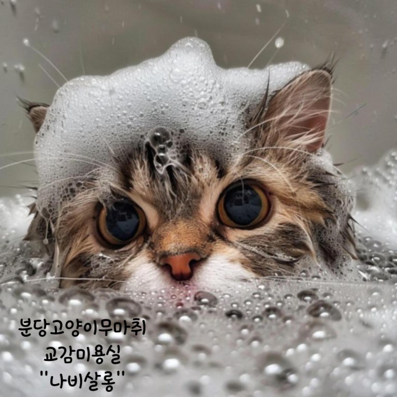 헤어살롱나비 이미지