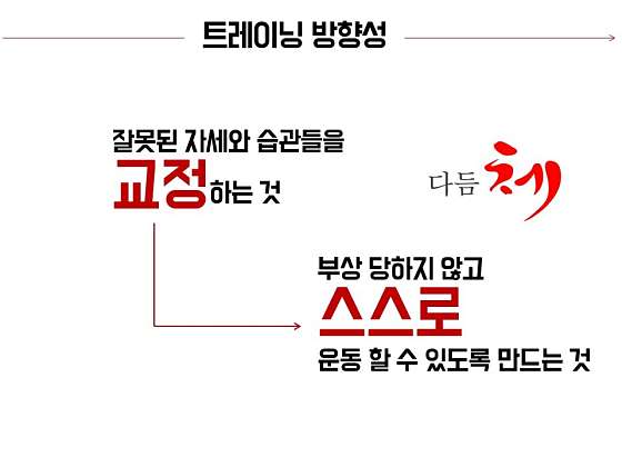 다듬체 이미지
