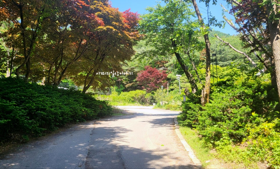 (주)더청화 이미지