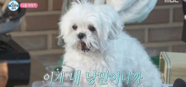 카페한성 이미지