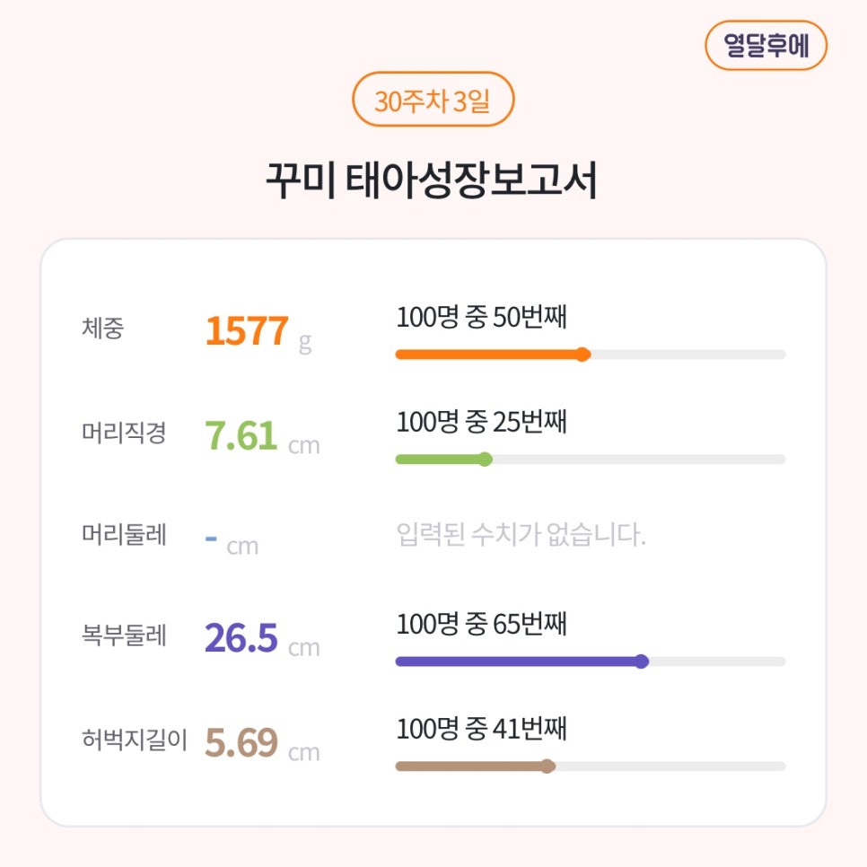 애미꾸미 이미지