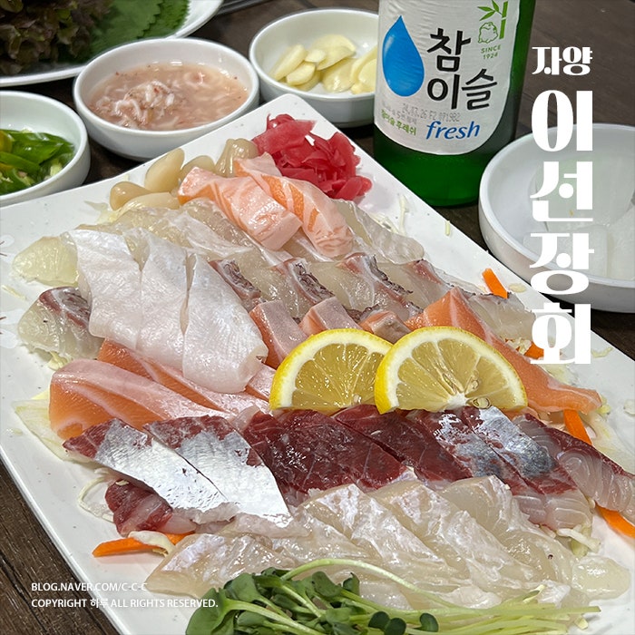 이선장회 이미지