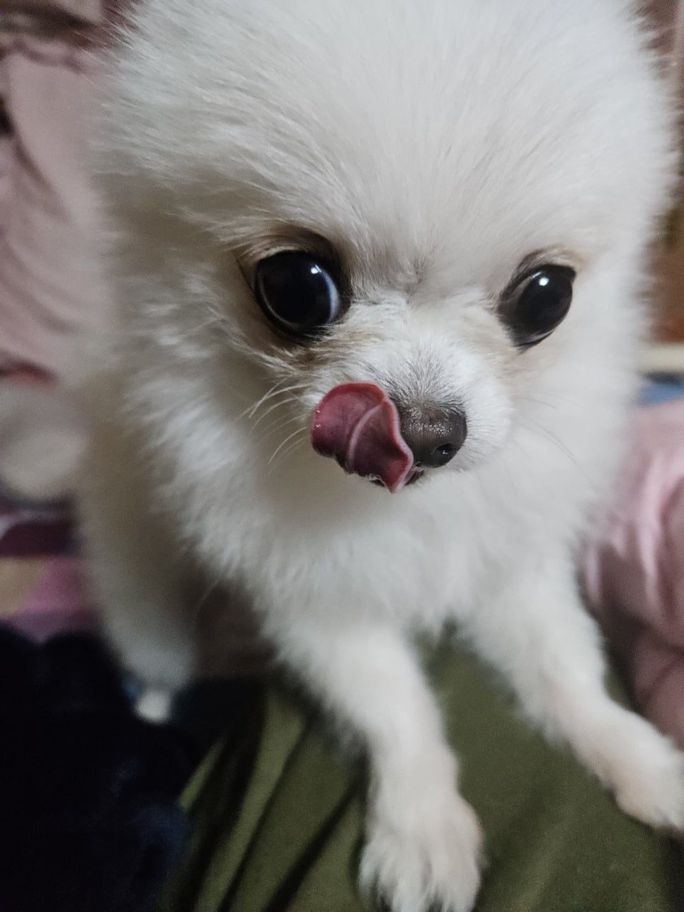 달콤달콩 이미지
