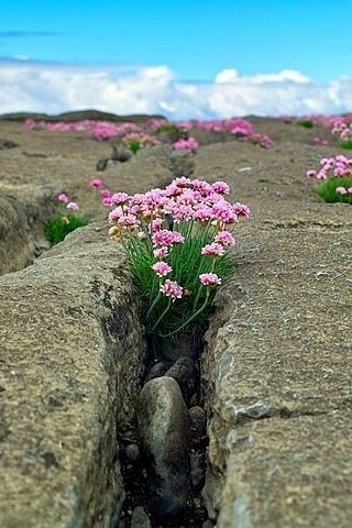 속초시노인복지관 이미지