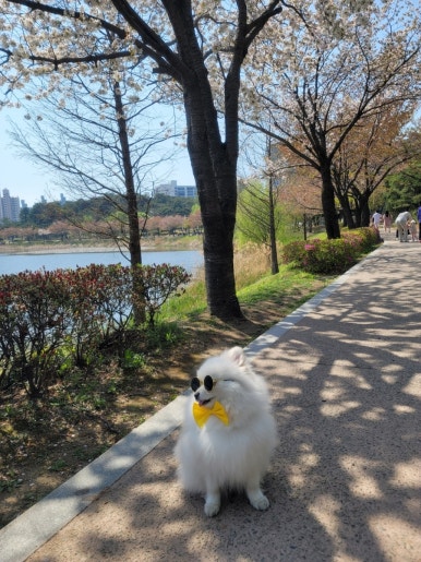 이브용품 이미지