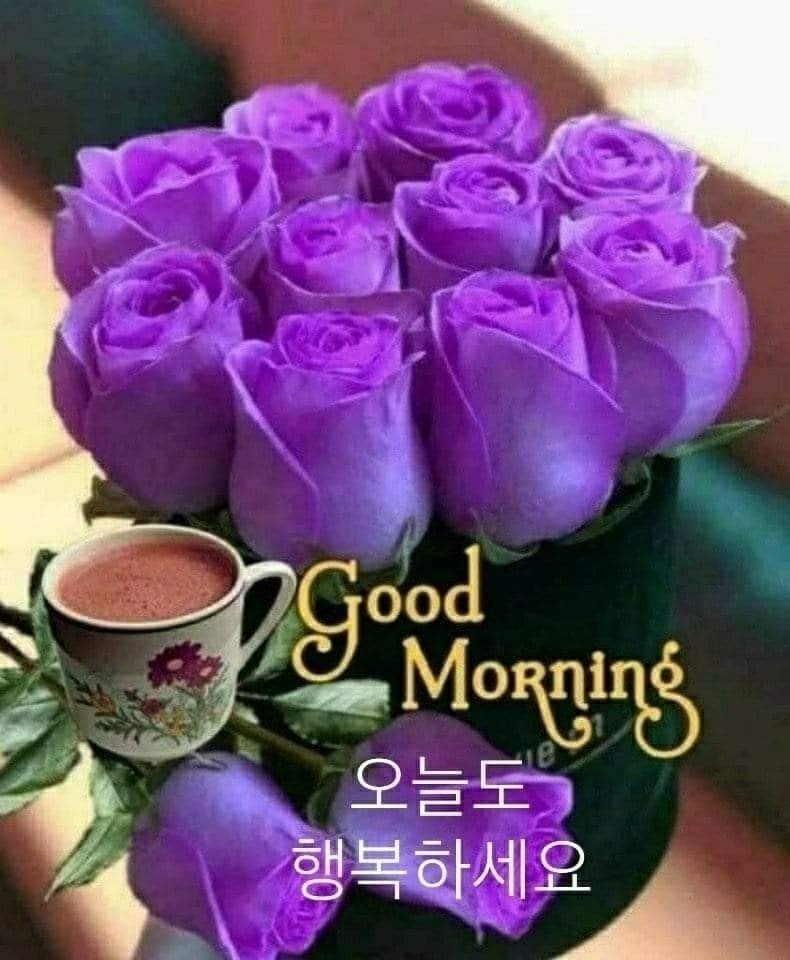 행복한날 이미지