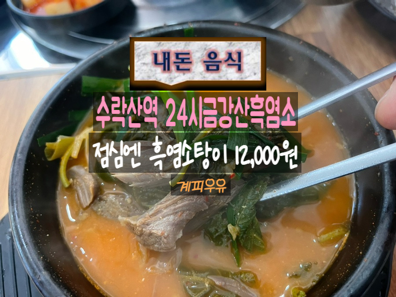 24시금강산흑염소 이미지