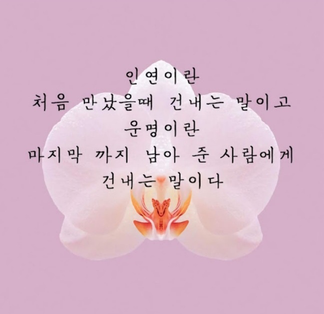 아로마피부발마사지 이미지