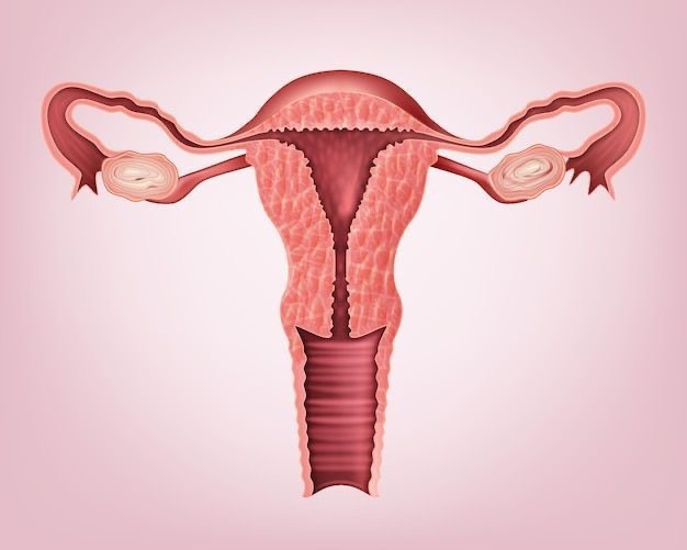 민병열 이미지