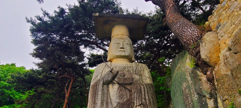 아담장 이미지