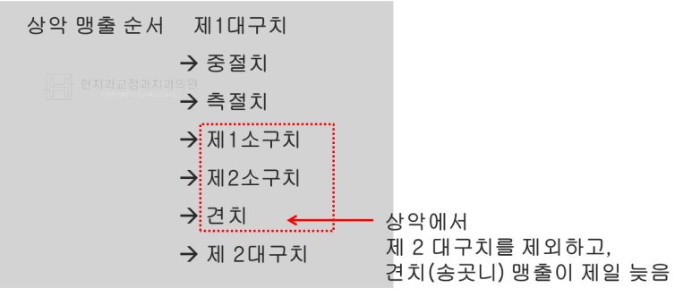 현치과교정과치과의원 이미지