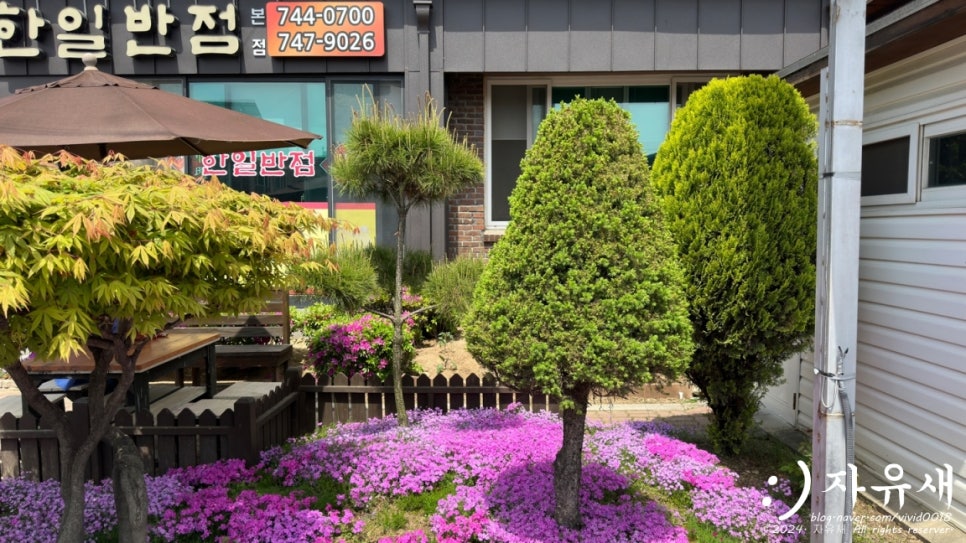 한일반점(본점) 이미지