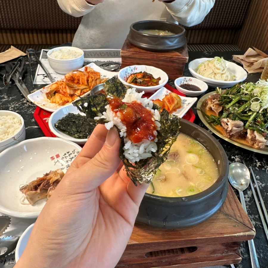 대양카 이미지