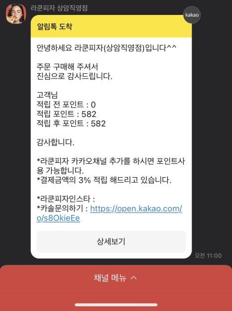 라쿤피자 이미지