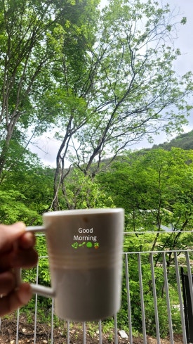 일미장 이미지