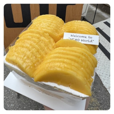 네모투어 이미지