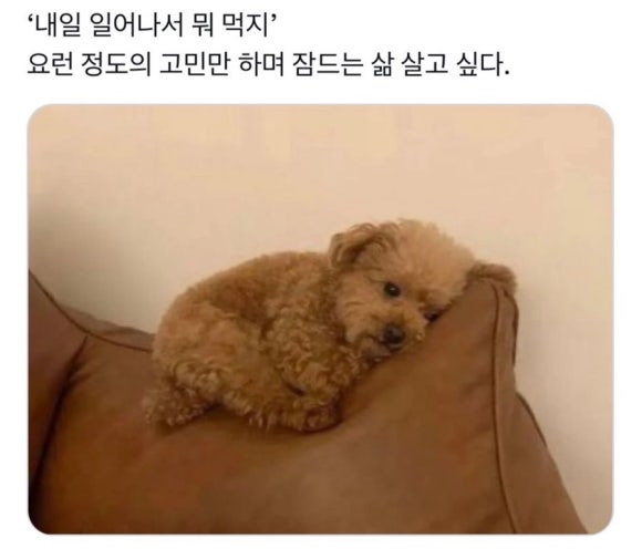연리희재 이미지