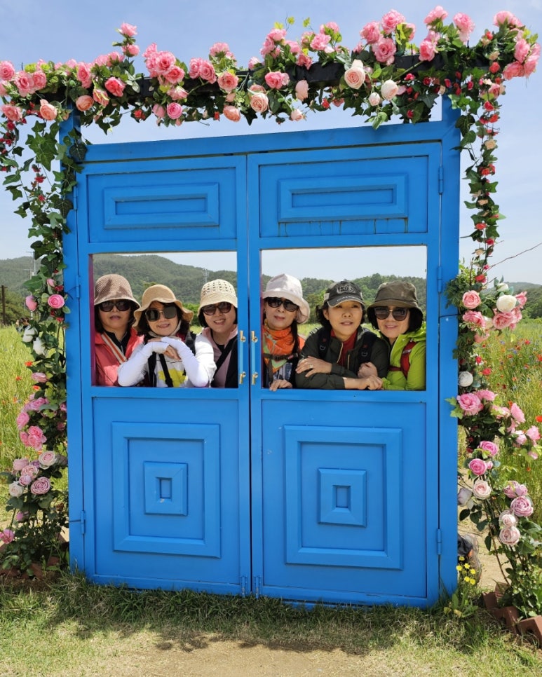 홍대장 이미지