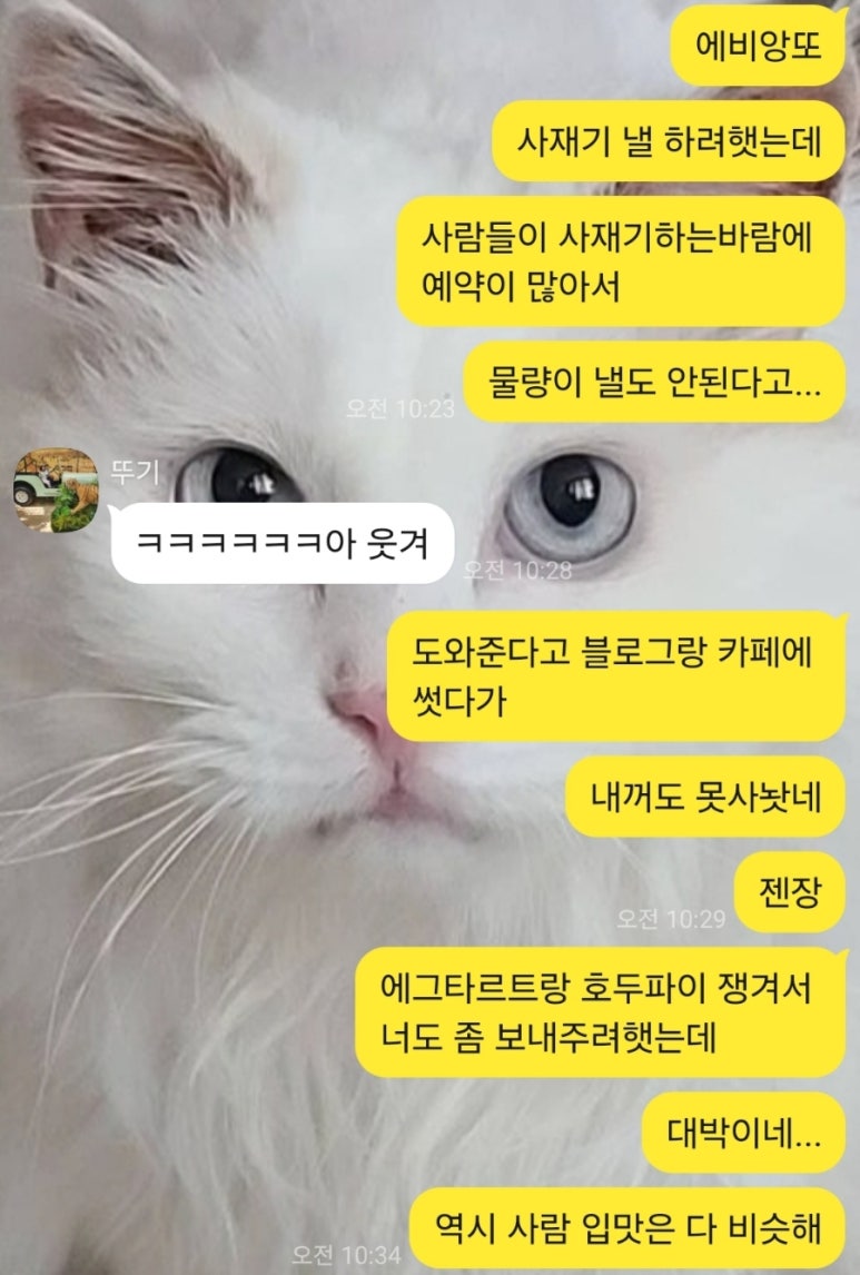 아비엥또 이미지