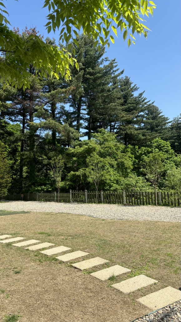 타이니포춘 이미지