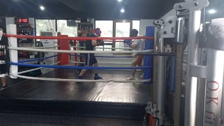 와룡복싱 이미지