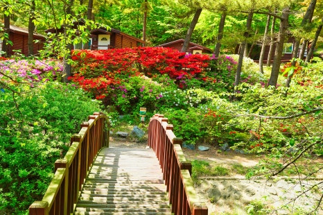 국립희리산해송자연휴양림 이미지