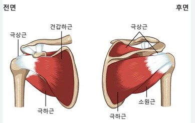 해피짐휘트니스 이미지
