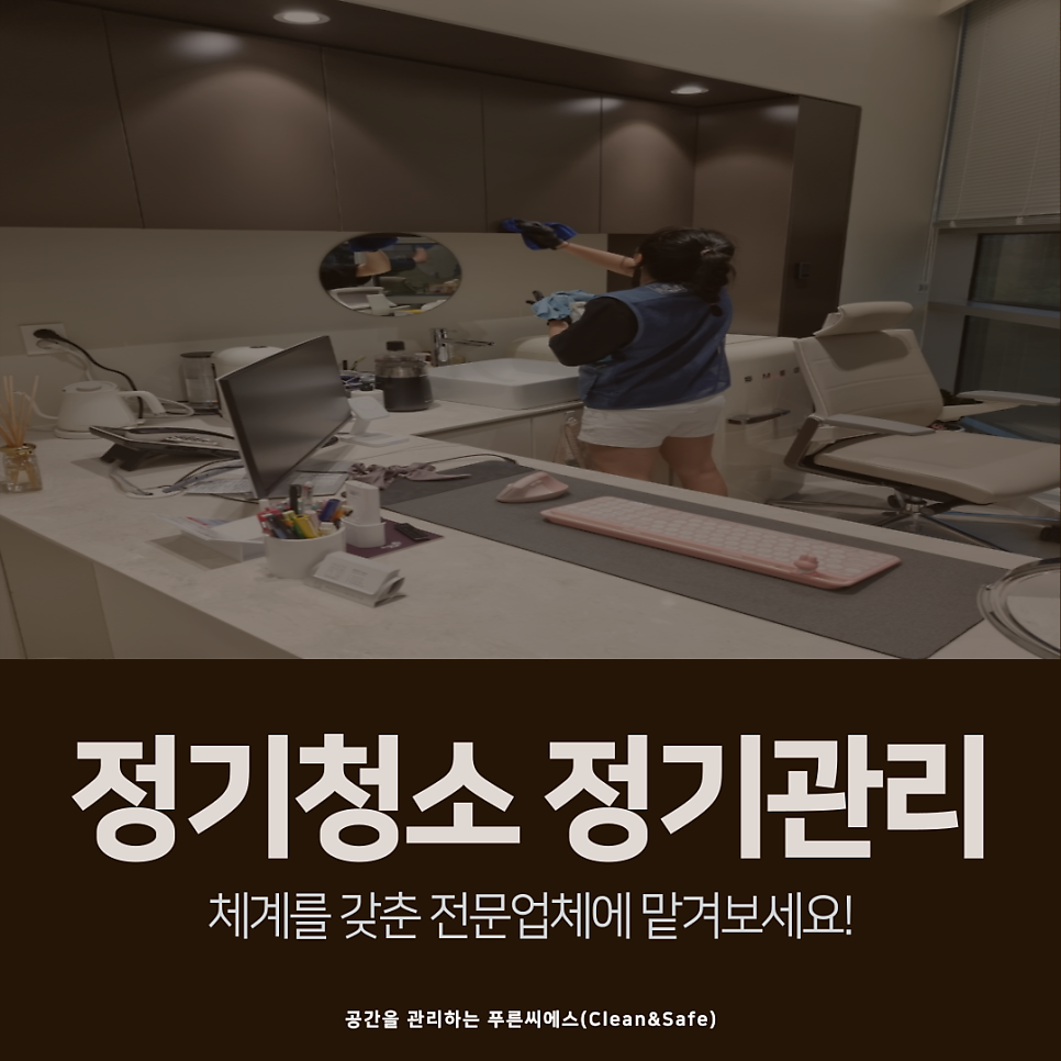 푸른씨에스 이미지