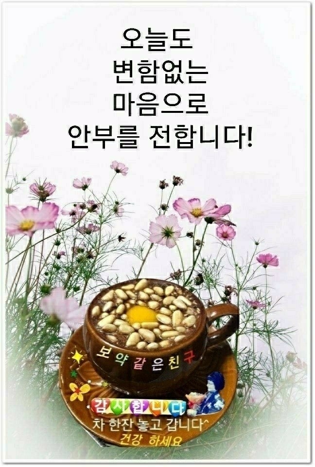 서랑 이미지