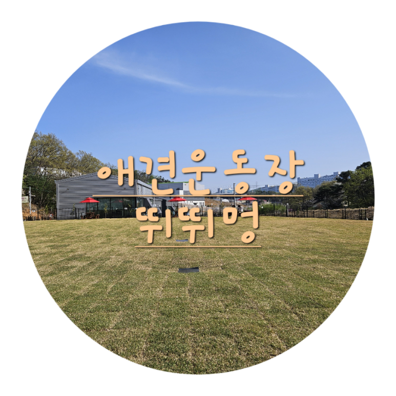 뛰뛰멍 이미지