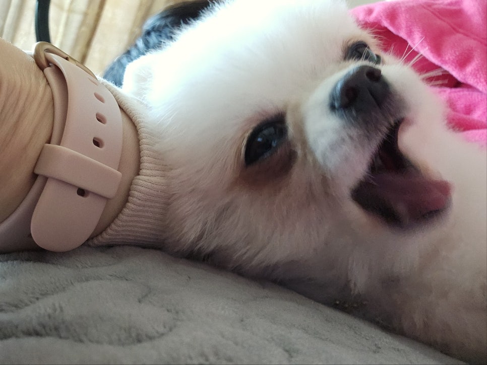 달콤달콩 이미지