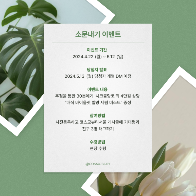 코스모이벤트 이미지
