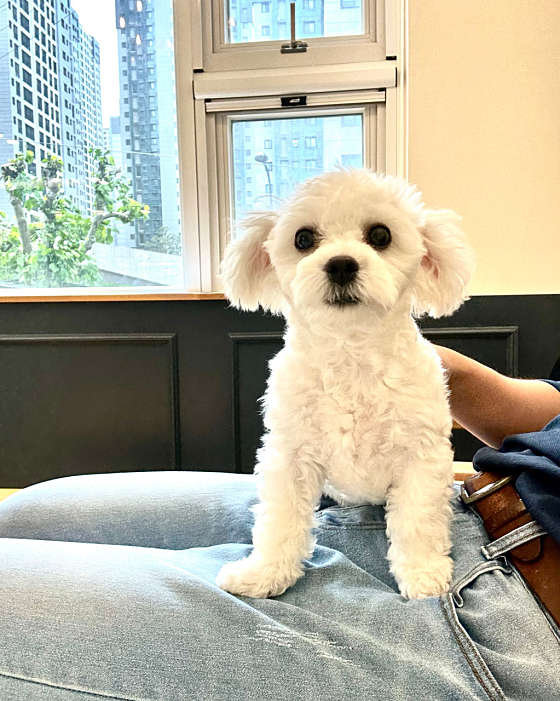 가온헤어룸 이미지