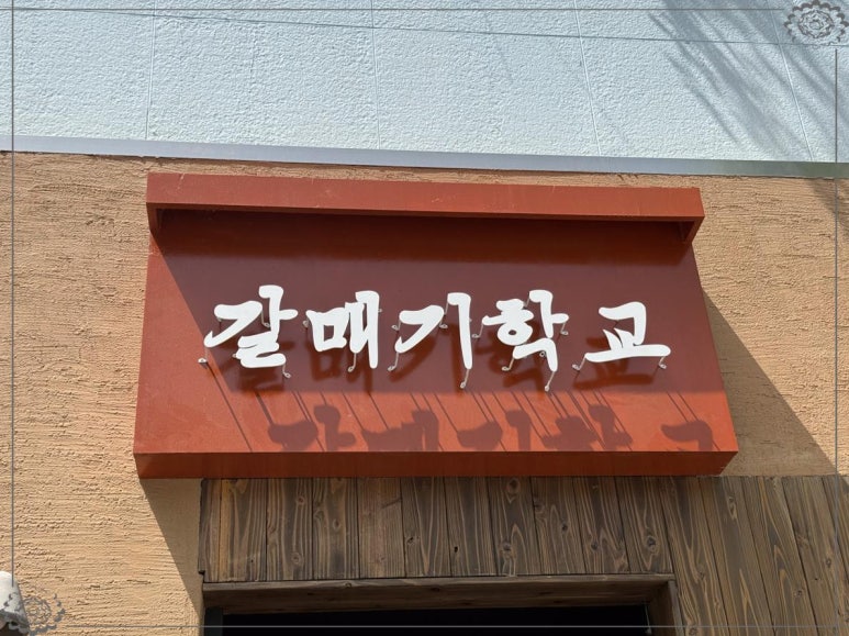 갈매기 학교 이미지