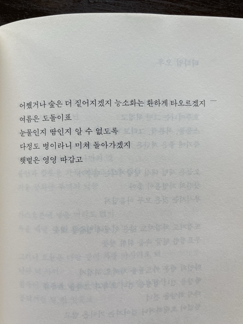 롤러스 이미지