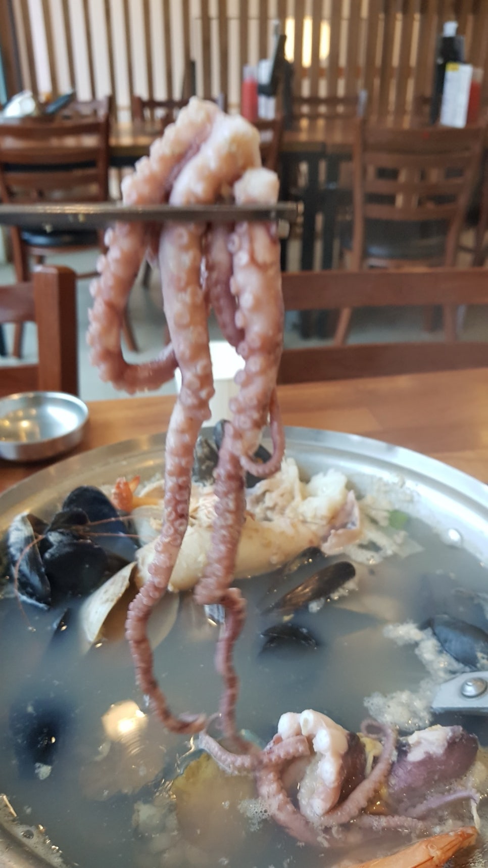 나들이손칼국수 이미지