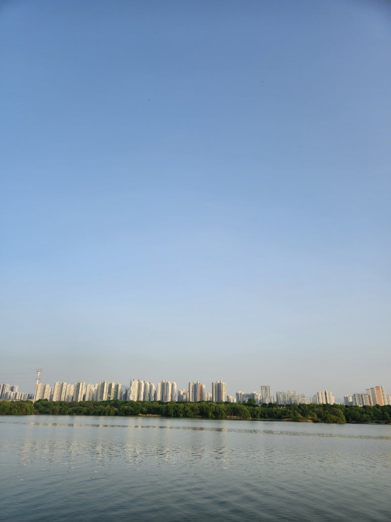 스시쿠모 이미지