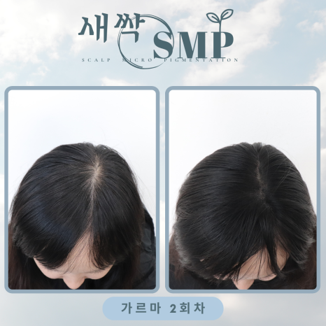 롯데서울역라인 이미지