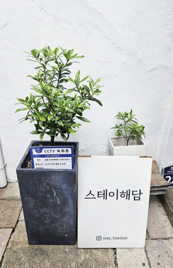 스테이해담 이미지