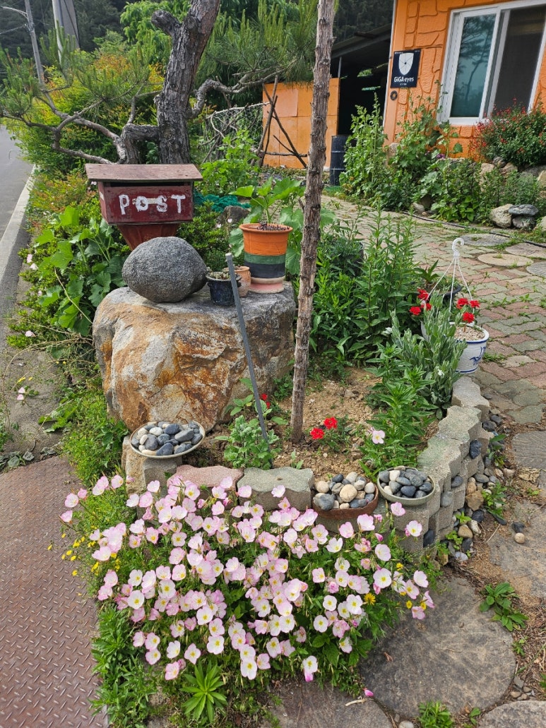 천년밀면 이미지