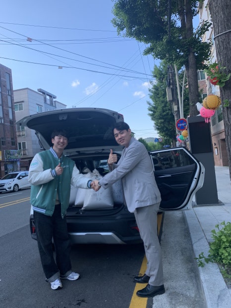 플롱 이미지