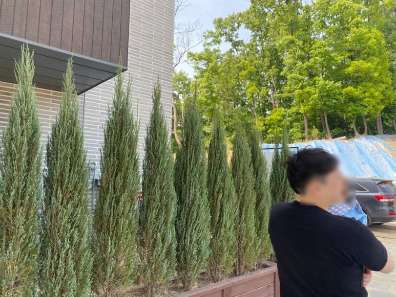 파티수용인 이미지