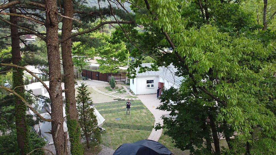 타이니포춘 이미지