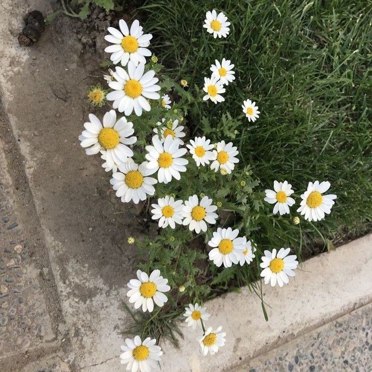 몬스터카페 이미지