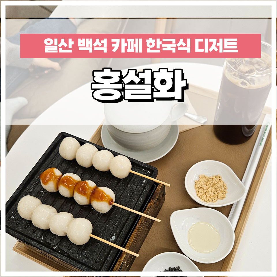 홍설화 이미지