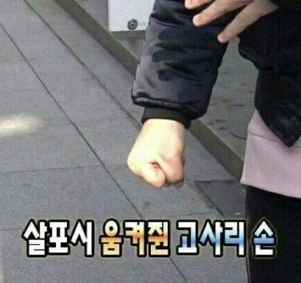 베지잇 이미지